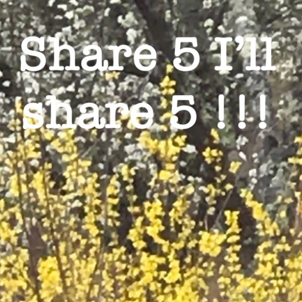 Share 5 I’ll share 5 of yours